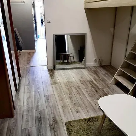 F1 37m² Hyper Centre Face Au Marche *